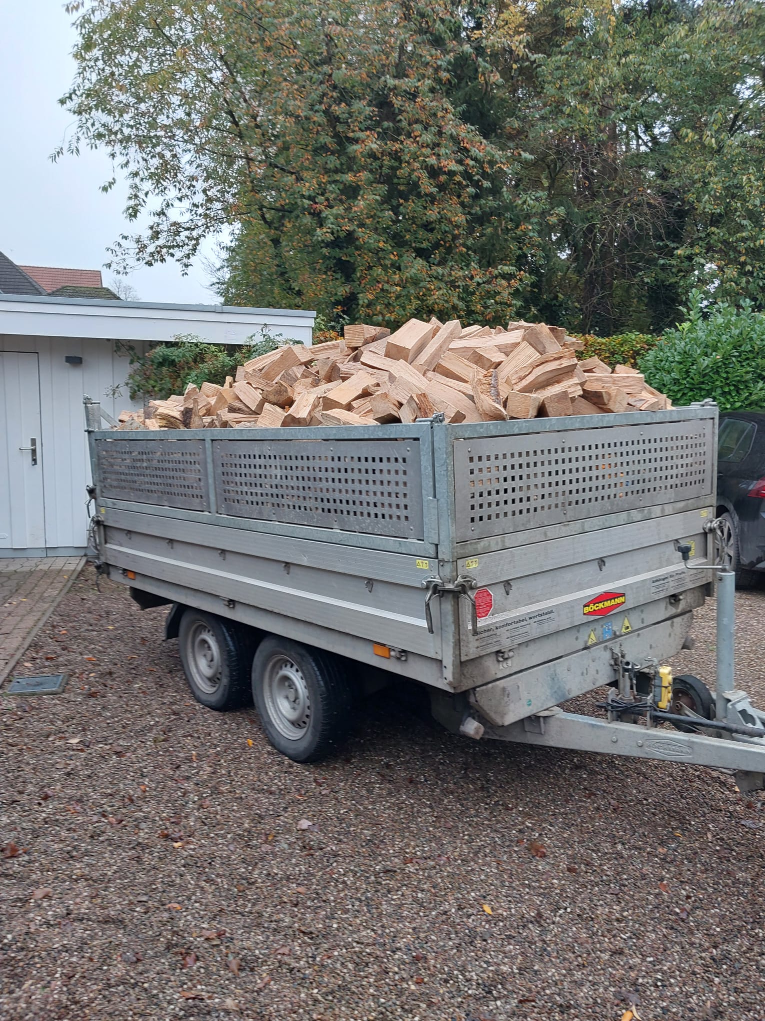 Baumfällung Arbeit 11