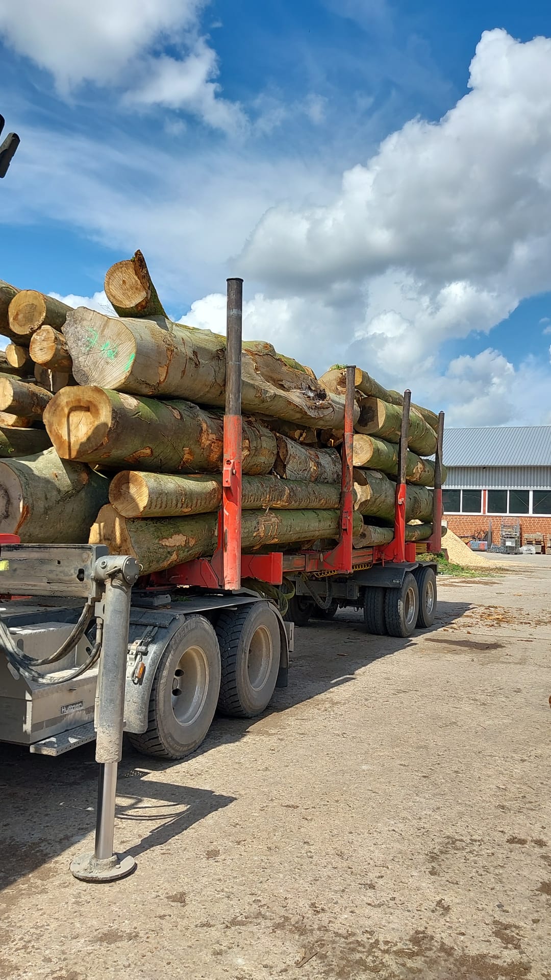 Baumfällung Arbeit 15