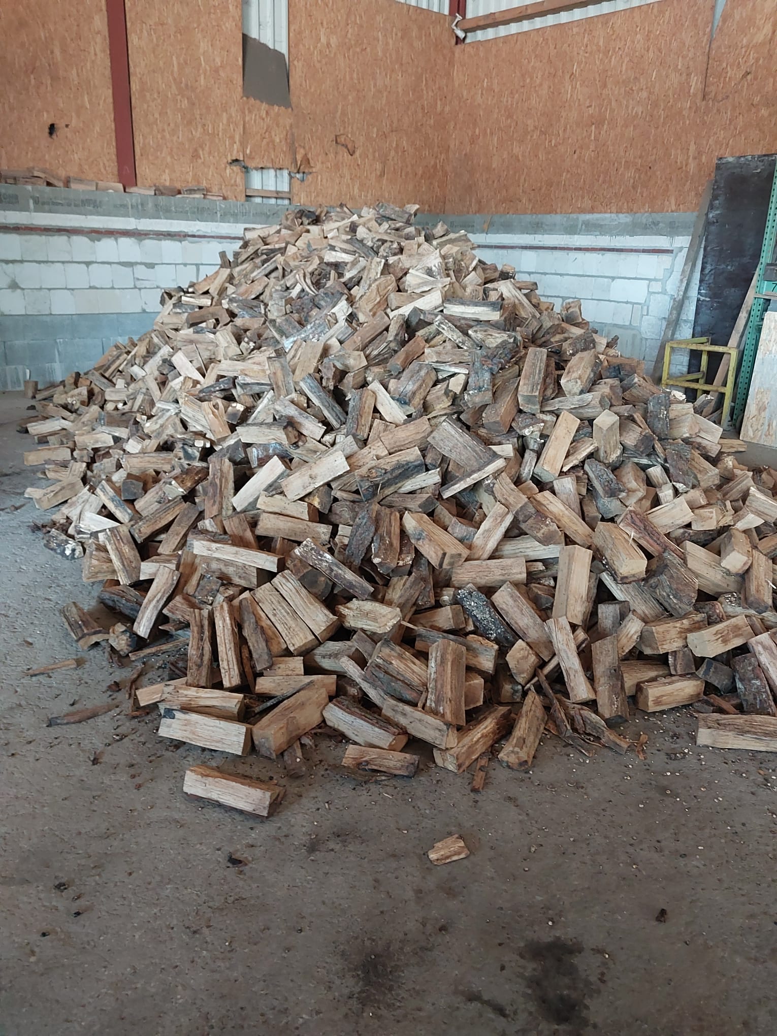 Baumfällung Arbeit 16