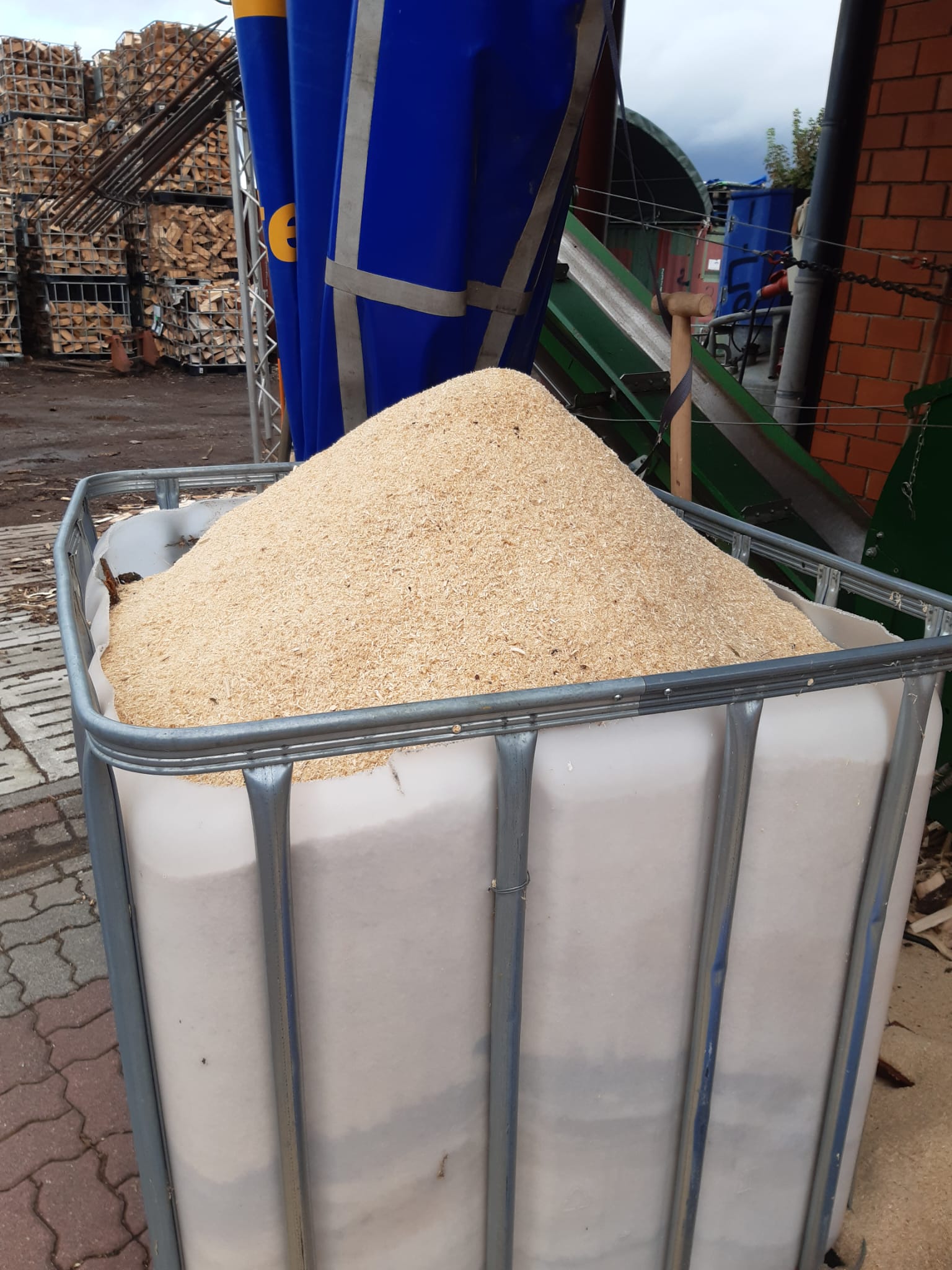 Baumfällung Arbeit 17