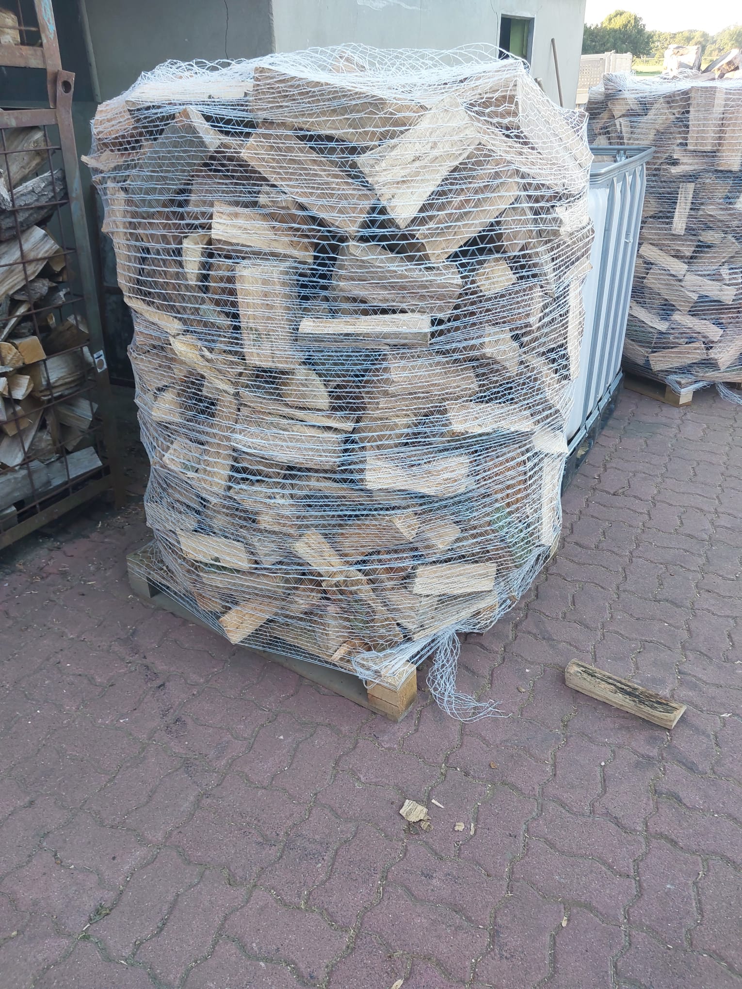 Baumfällung Arbeit 2