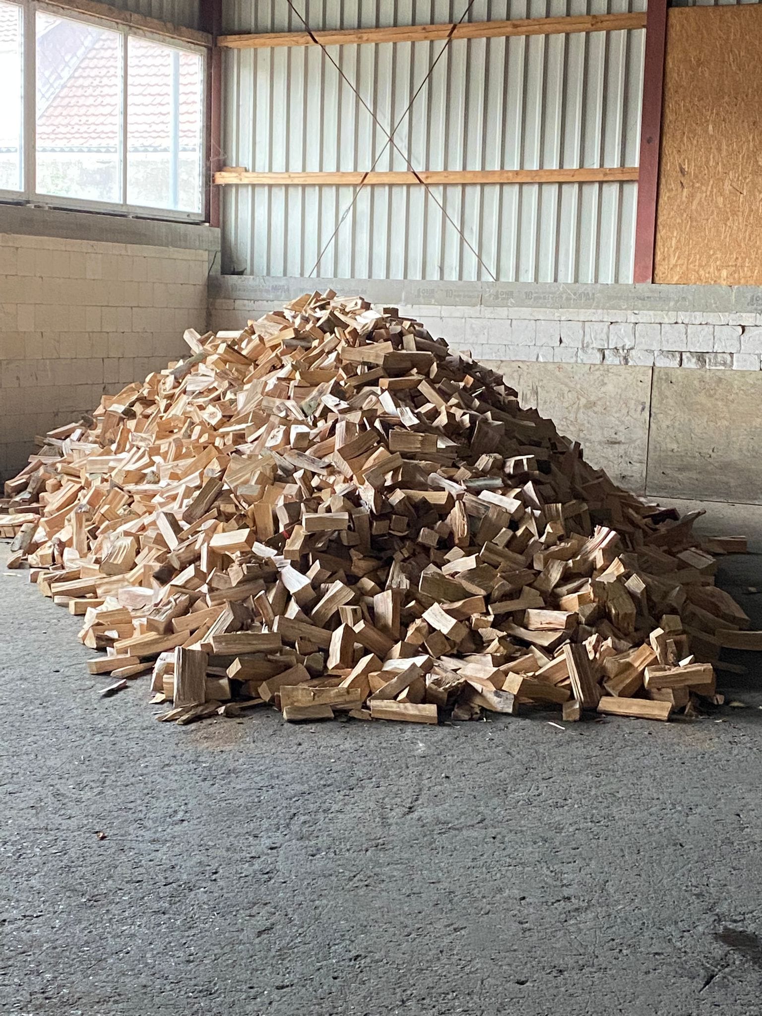 Baumfällung Arbeit 5